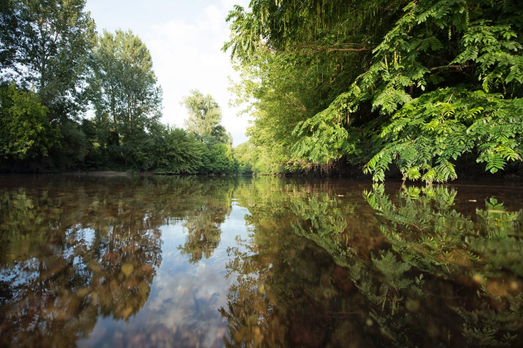 Watercourses: The rights and responsibilities of a riparian owner